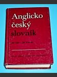 Anglicko-český slovník - náhled