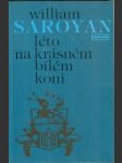 Léto na krásném bílem koni - náhled