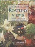 Rostliny v bytě - náhled