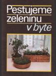 Pestujeme zeleninu v byte - náhled