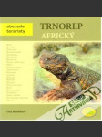 Trnorep africký - náhled