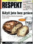 Respekt 19/2009 - náhled