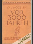 Vor 5000 Jahren - náhled