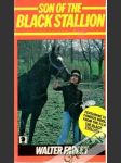 Son of the black stallion - náhled