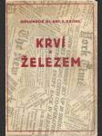 Krví a železem dobyto československé samostatnosti - náhled