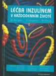 Léčba inzulínem v každodenním životě - náhled