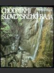 Chodníkmi slovenského raja - náhled