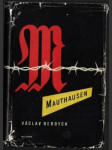 Mauthausen - náhled