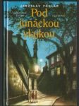 Pod junáckou vlajkou - náhled