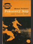 Pokutový kop - náhled