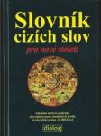 Slovník cizích slov pro nové století - náhled