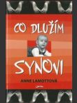 Co dlužím synovi - náhled