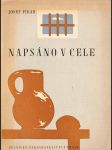 Napsáno v cele - náhled