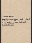 Psychologie vnímání malířských výtvarných děl v ontogenezi - náhled