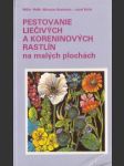 Pestovanie liečivých a koreninových rastlín na malých plochách - náhled