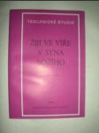 Žiji ve víře v Syna Božího (4) - HONEK Alois - náhled