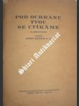 Pod ochranu tvou se utíkáme - rybák josef s.j. - náhled