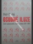 Osudné iluze - hrubý petr - náhled