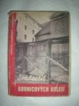 Svědectví Kounicových kolejí (3) - náhled