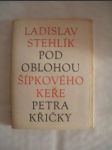 Pod oblohou Šípkového keře Petra Křičky - STEHLÍK Ladislav - náhled