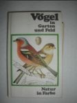 Vögel in Garten und Feld - FELIX J. / HÍSEK K. - náhled