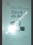 Zácvik do hry - schellenberger bernardin - náhled