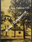 Friedrich gustav kardinal piffl erzbischof von wien 1864 - 1932 - rennhofer friedrich dr. - náhled