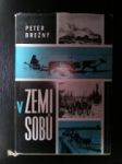 V zemi sobů - BREŽNÝ Peter - náhled