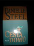 Cesta domů - STEEL Danielle - náhled