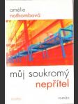 Můj soukromý nepřítel - náhled