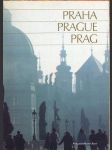 Praha / prague / prag grulich tomáš, třeštík jan - náhled