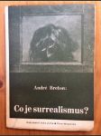 Co je surrealismus? - náhled