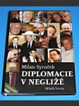 Diplomacie v negližé - náhled