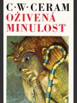 Oživená minulost - náhled