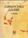 Západočeská galerie v Plzni - náhled