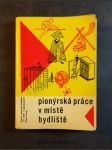 Pionýrská práce v místě bydliště - náhled