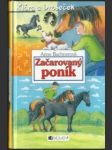 Začarovaný poník - náhled