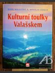 Kulturní toulky Valašskem - náhled