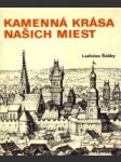 Kamenná krása našich miest - náhled