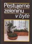 Pestujeme zeleninu v byte - náhled