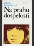 Na prahu dospelosti - náhled