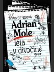 Adrian Mole - léta v divočině - náhled