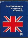 Slovensko anglický slovník - náhled