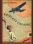 Krídlatý chlapec - náhled