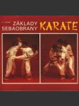 Základy sebaobrany - Karate - náhled