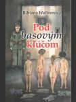 Pod basovým kľúčom - náhled