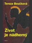 Život je nádherný - náhled